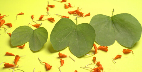 Indian Festival Dussehra, showing golden leaf and flowers on moody background. Greeting card.