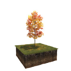 autumn tree, isolate on a transparent background, 3d illustration
