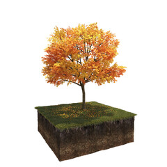 autumn tree, isolate on a transparent background, 3d illustration
