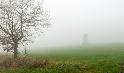 Hochsitz im Nebel auf einer Wiese am Böhlen, Medebach, Hochsauerland