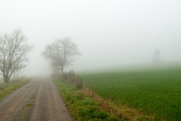Hochsitz im Nebel auf einer Wiese am Böhlen, Medebach, Hochsauerland