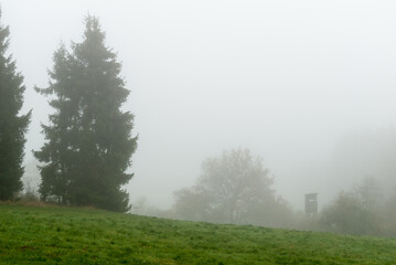 Fototapeta na wymiar Hochsitz bei Nebel am Waldrand an der Hasenkammer im Tal der Harbecke, Medebach, Hochsauerland
