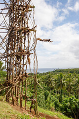 VANUATU, PENTECOST  ISLAND: land diving ceremony, called Naghol or Gol. Indigenous men jump from...