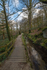 Small footbridge in woodland beside a water filled stream in luxulyan valley Cornwall