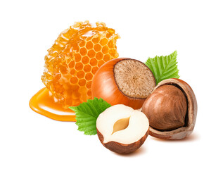 Honeycomb and hazelnuts with green leaves isolated on white background