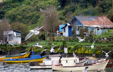boats on the beach