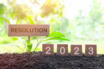 New year 2023 life goal, resolution and new priorities concept. Wooden blocks dice on a natural...