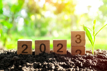 Hand changing year 2022 to 2023 in wooden blocks cubes with growing plant at sunrise. New year...