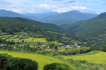 Fototapeta premium 溜井の棚田 実りの秋 （高知県 土佐町）