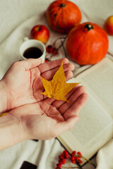 hands with pine yellow maple
leaf on the background of an autumn still life of a cup of tea pumpkins apples and yellow leaves. Autumn mood