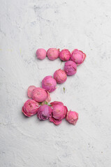 letter z outlined with pink flowers on a white background
