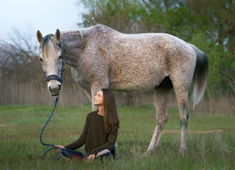 A girl sits in a field and holds a fleabitten grey horse in a blue halter by the head-rope