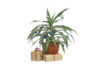 Zero waste alternative Christmas tree, dracaena palm plant in a pot decorated with Christmas balls. Preparation for Christmas or new year