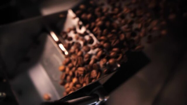 Coffee roaster machine mixing aroma beans.Preparation fresh aroma caffeine on manufacturing warehouse.Close-up Make ready coffee in large roaster falling beans