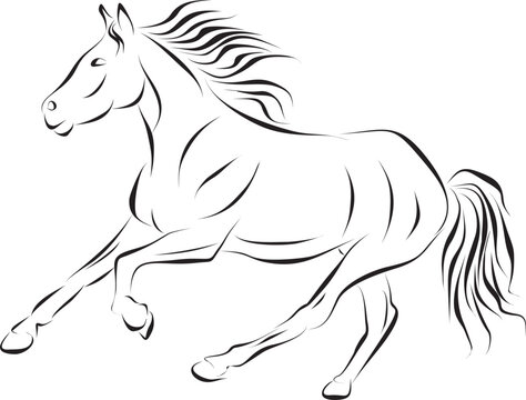 Vector monochrome horse drawn with strokes. Mammal animal with rearing hooves..