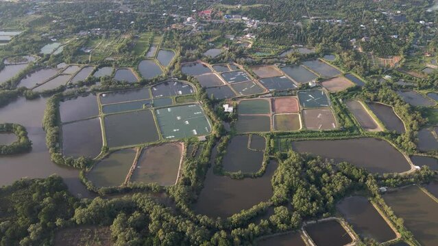 Aerial drone shot of fertile organized agricultural field focusing on the river that flowing through showing also fish and shrimp, prawn farming, Chanthaburi, East of Thailand