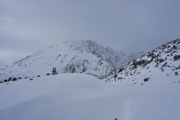 Naklejka premium Winter landscape of 
