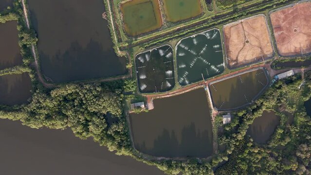 Top-down aerial drone shot of fertile organized agricultural field focusing on the river that flowing through showing also fish and shrimp, prawn farming, Chanthaburi, East of Thailand