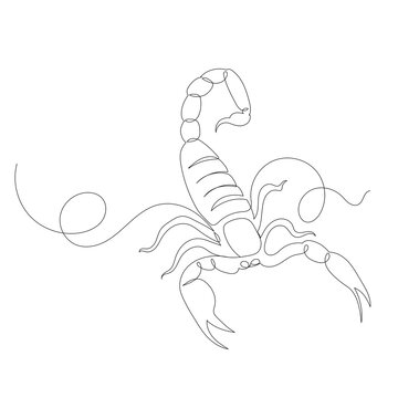scorpion one line drawing, sketch, isolated vector