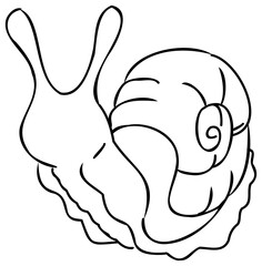 Snail line art illustration, Cartoon animal drawing. PNG, with transparent background.