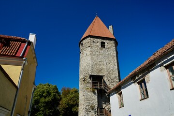 Obraz premium Tallinn Estonia 2022 August