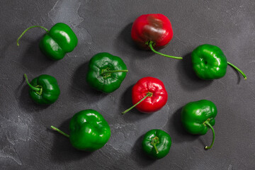 Rocoto Manzano chile peppers, top view. Scattered Capsicum pubescens fruits