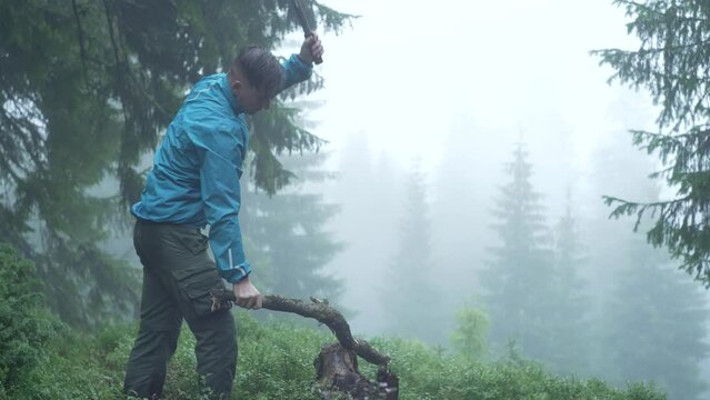 A tourist chops brash in the forest during the rain. A man is chopping with an ax while on a hike. Camping in the mountains during the fog, gathering firewood. Green forest. High quality 4k footage