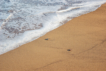 White sea foam, sandy shore, pebbles on a sandy beach. Calm inspiring sea view.