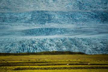 Lodowiec © Katarzyna