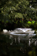 Obraz na płótnie Canvas Fountain in a Pond