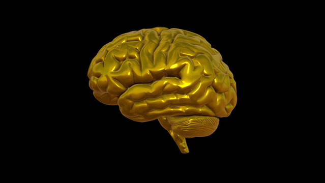 3D Render Illustration Of The Human Brain. Gold Material