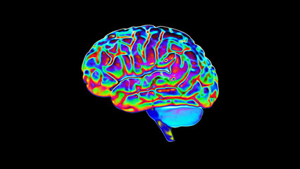 3D render illustration of the human brain. Termal material