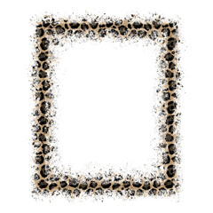 Leopard Frame