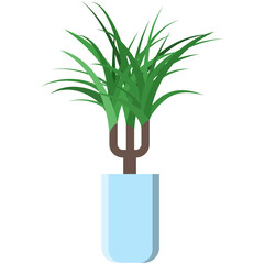 Palm plant in pot vector, indoor tree interior flower icon