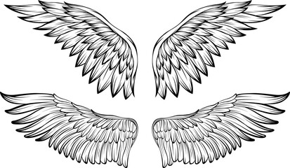 Bird wings vector illustration tattoo style. Hand drawn design element.
