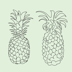 pineapple vector line art. Tropical Fruits line drawing illustration