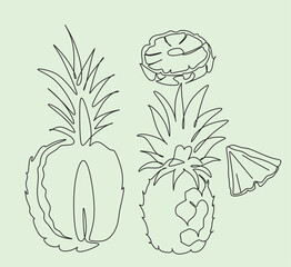 pineapple vector line art. Tropical Fruits line drawing illustration