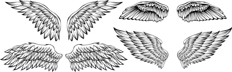 Bird wings vector illustration tattoo style. Hand drawn design element.