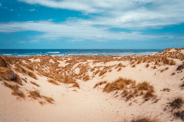 Amazing sand dunes and beach with turquoise water in Cala Mesquida, Mallorca, Spain. Selective focus.