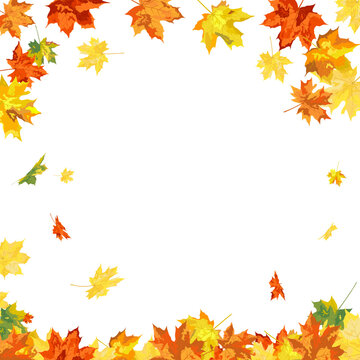 Autumn Maple Frame