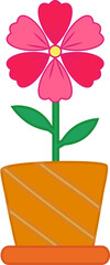 Flower in Pot for Decoration