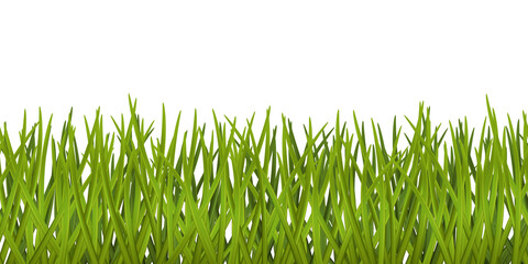 Bright green realistic seamless grass pattern isolated on transparent background - 534229706
