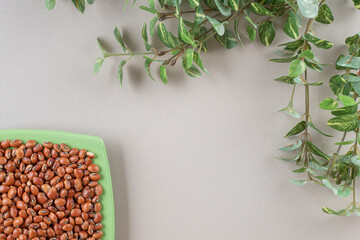 Brown beans in a ceramic plate on concrete background