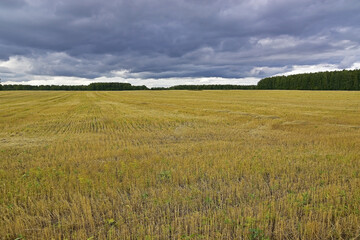 Obraz premium Autumn storm over empty rural fields