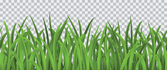 Bright vector green grass seamless pattern on transparent background