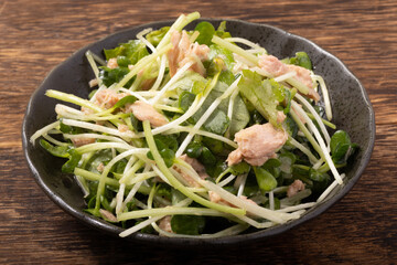 カイワレ大根とツナのサラダ