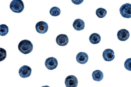 Blueberry pattern isolated on white background. Top view. Flat lay