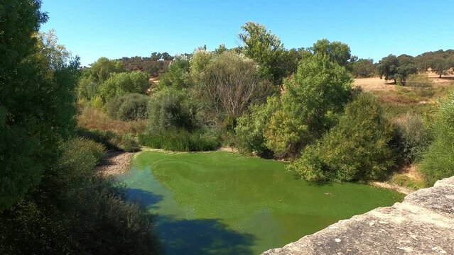 Roman Bridge Of Vila Formosa