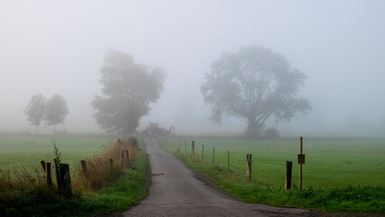 Foggy autumn morning