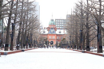 Sapporo, Japan - December 22, 2019: Scenery of the Former Hokkaido Government Office Building, a tourist attraction in Hokkaido, Japan